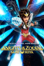 Saint Seiya: Knights of the Zodiac – Battle Sanctuary Part 2